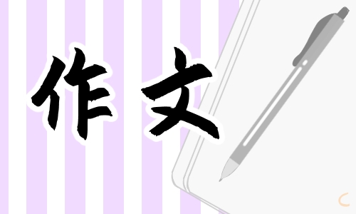 高一写坚持主题的作文800字